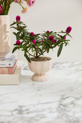Robbi Hand-Painted Ceramic Compote By Accent Decor