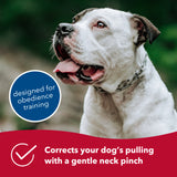 ULTRA-PLUS Prong Dog Training Collar