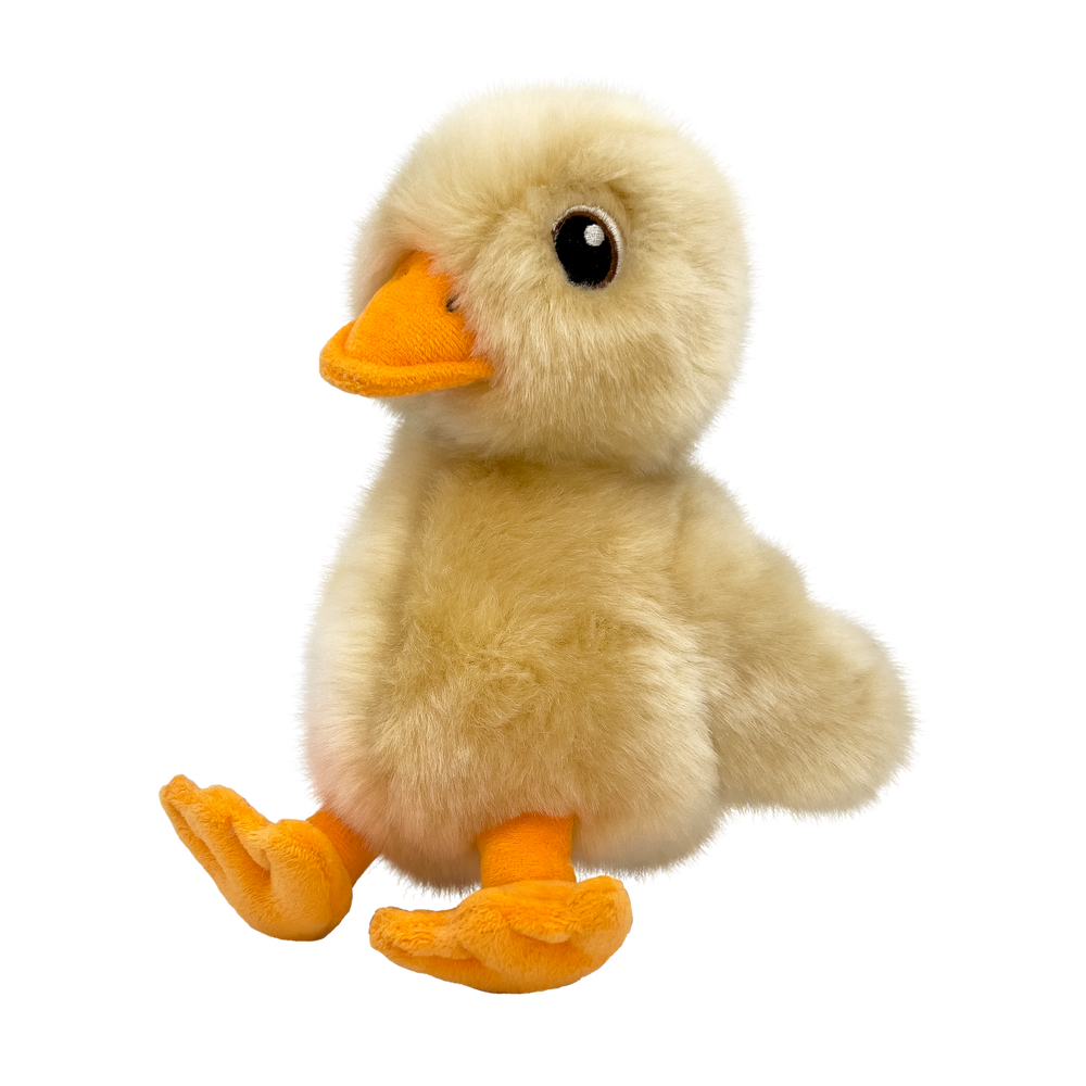 KONG Toughz Duck Plush Dog Toy, Medium