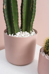 Waxed Marble Stones for Vases & Planters By Accent Decor - White - Image 3