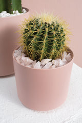 Rose Quartz Natural Stone Decorative Vase Filler By Accent Decor