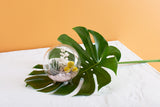 Rose Quartz Natural Stone Decorative Vase Filler By Accent Decor