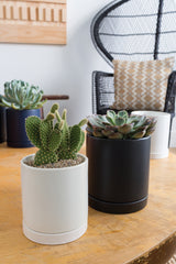 Natural Stone Sand Vase & Terrarium Filler By Accent Decor - Natural - Image 11