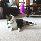 Safe Cat Adjustable Breakaway Cat Collar with Magnetic Buckle