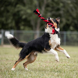 KONG Signature Rope Dual Knot Dog Toy, 20" - view 3