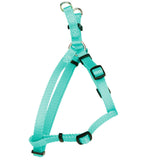 Comfort Wrap Adjustable Dog Harness - Extra Small - 3/8" x 12"-18" / Teal
