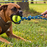Fling Thing Cotton Rope Dog Toy with Tuff Ball