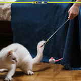 Cat Wand Toy