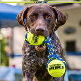 Tug Max Rope Dog Toy with Two Tuff Balls
