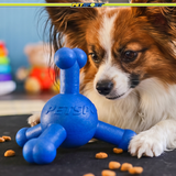 Quadra Play Treat Dispensing Dog Toy