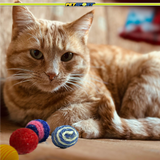 Kitty Balls Cat Toy, 4-Pack