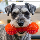 Gorilla Spiky Bone Squeaky Dog Chew Toy