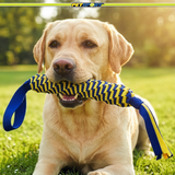 Twisted Chews Heavy-Duty Webbing Tug Dog Toy