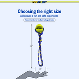 Fling Thing Cotton Rope Dog Toy with Tuff Ball size guide - 12" Rope with 2.5" Ball
