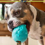 Mojo Friends Small Treat Dispensing Dog Toy, 2.4"