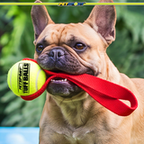 Mini Fetch Me Fido Tug Dog Toy with 1.8" Tuff Ball