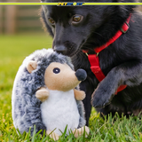 Hedgie Plush Squeaky Dog Toy