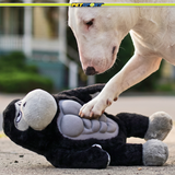 Six-Packers Plush and TPR Squeaky Dog Toy, 12.6"