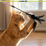 Cat Wand Toy
