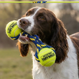 Tug Max Rope Dog Toy with Two Tuff Balls