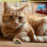 Cat Toy Mice