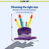 Happy Birthday Party Hat Plush Dog Toy, 7" size guide