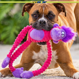 Momo Monkey Plush Squeaky Dog Toy