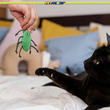 Catnip Crickets Cat Toy, 3.5"