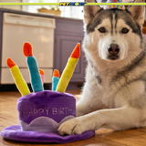 Happy Birthday Party Hat Plush Dog Toy, 7"