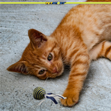 Rattle Tails Cat Toy, 4.5"