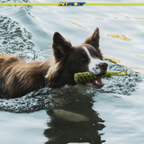 Twisted Chews Floating Rope Dog Toy