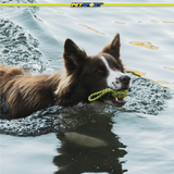 Twisted Chews Floating Rope Dog Toy