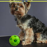 Turbo Kick Soccer Ball Treat Dispensing Dog Toy