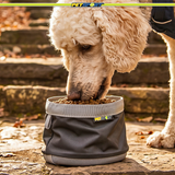 Collapsible Travel Dog Bowl