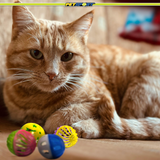Kitty Balls Cat Toy, 4-Pack