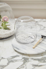 Oliver Glass Terrariums By Accent Decor