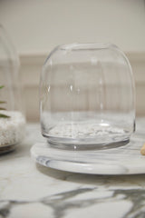 Oliver Glass Terrariums By Accent Decor
