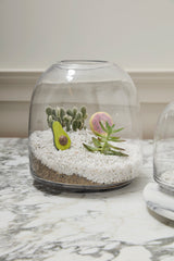 Oliver Glass Terrariums By Accent Decor