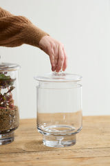 Asteridge Terrariums By Accent Decor