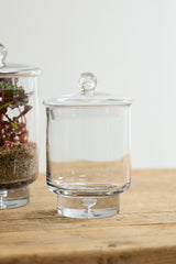 Asteridge Terrariums By Accent Decor