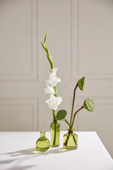 Carlotta Glass Bud Vases (Set of 3) By Accent Decor