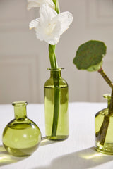 Carlotta Glass Bud Vases (Set of 3) By Accent Decor