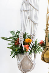 Fat Glass Vases By Accent Decor