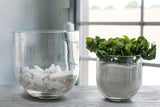 Fat Glass Vases By Accent Decor