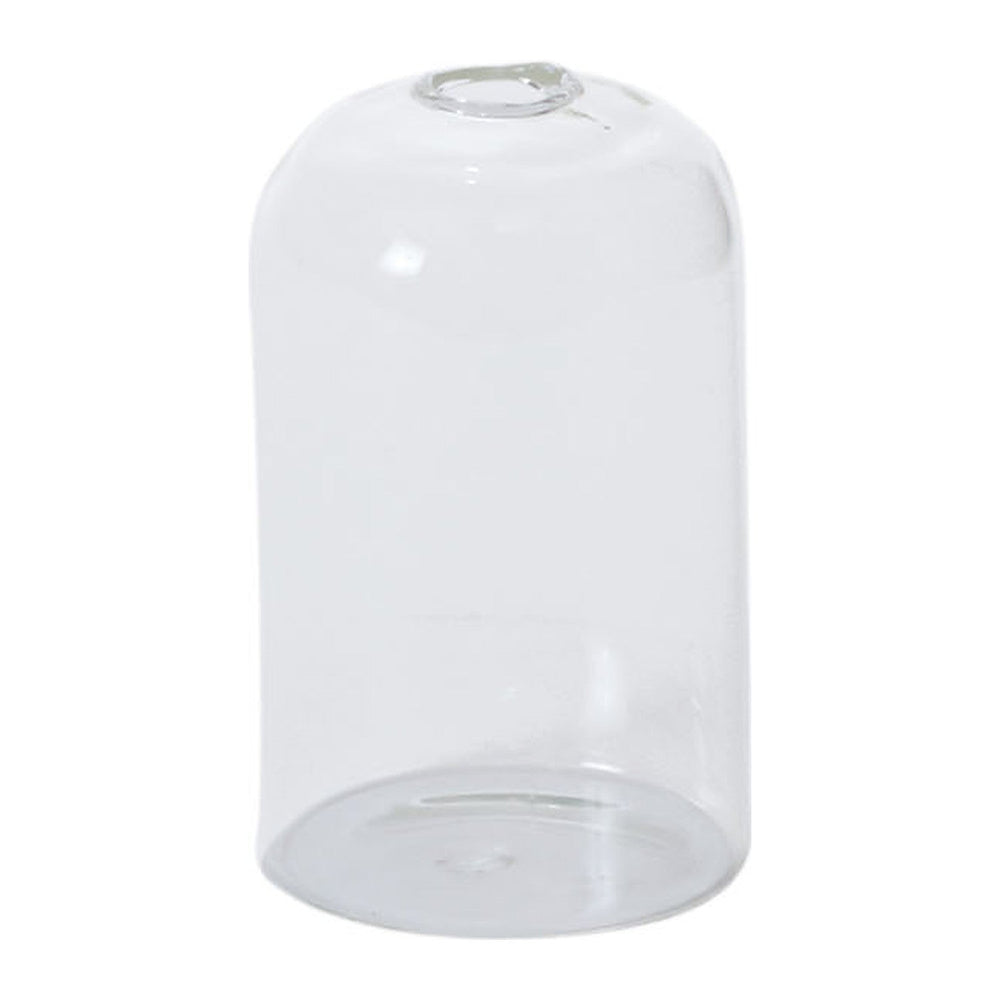 Highball Glass Bud Vases By Accent Decor