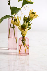 Highball Glass Bud Vases By Accent Decor
