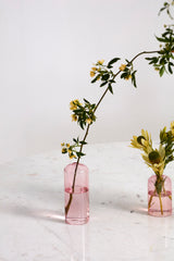Highball Glass Bud Vases By Accent Decor