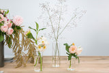 Highball Glass Bud Vases By Accent Decor