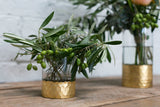 Elsa Cylinder Glass Vases By Accent Decor