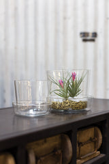 Glass with Saucer Pots By Accent Decor